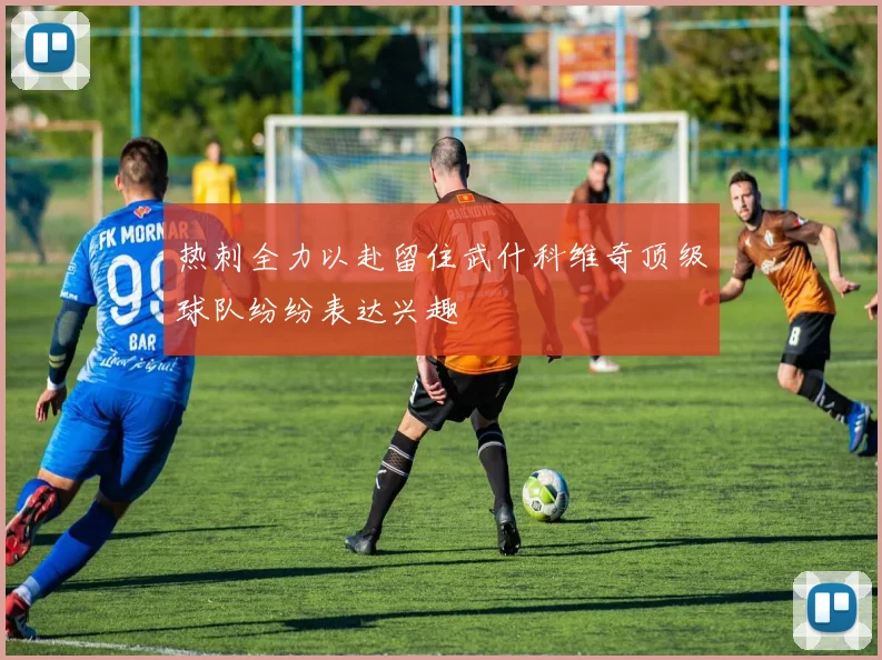 热刺全力以赴留住武什科维奇顶级球队纷纷表达兴趣