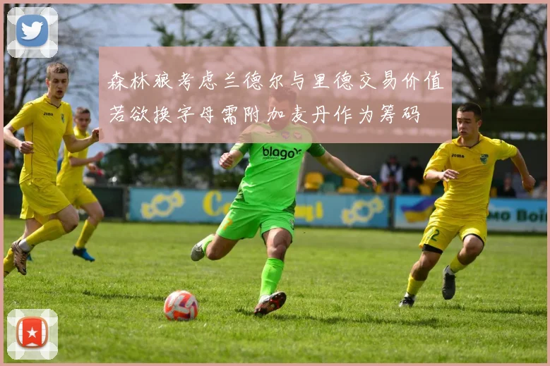 森林狼考虑兰德尔与里德交易价值若欲换字母需附加麦丹作为筹码